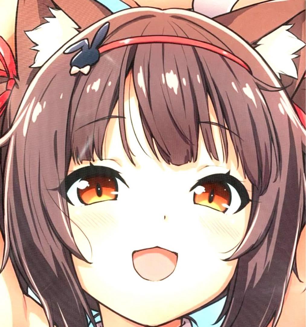 Mios ネコぱら ショコラ 抱き枕カバー