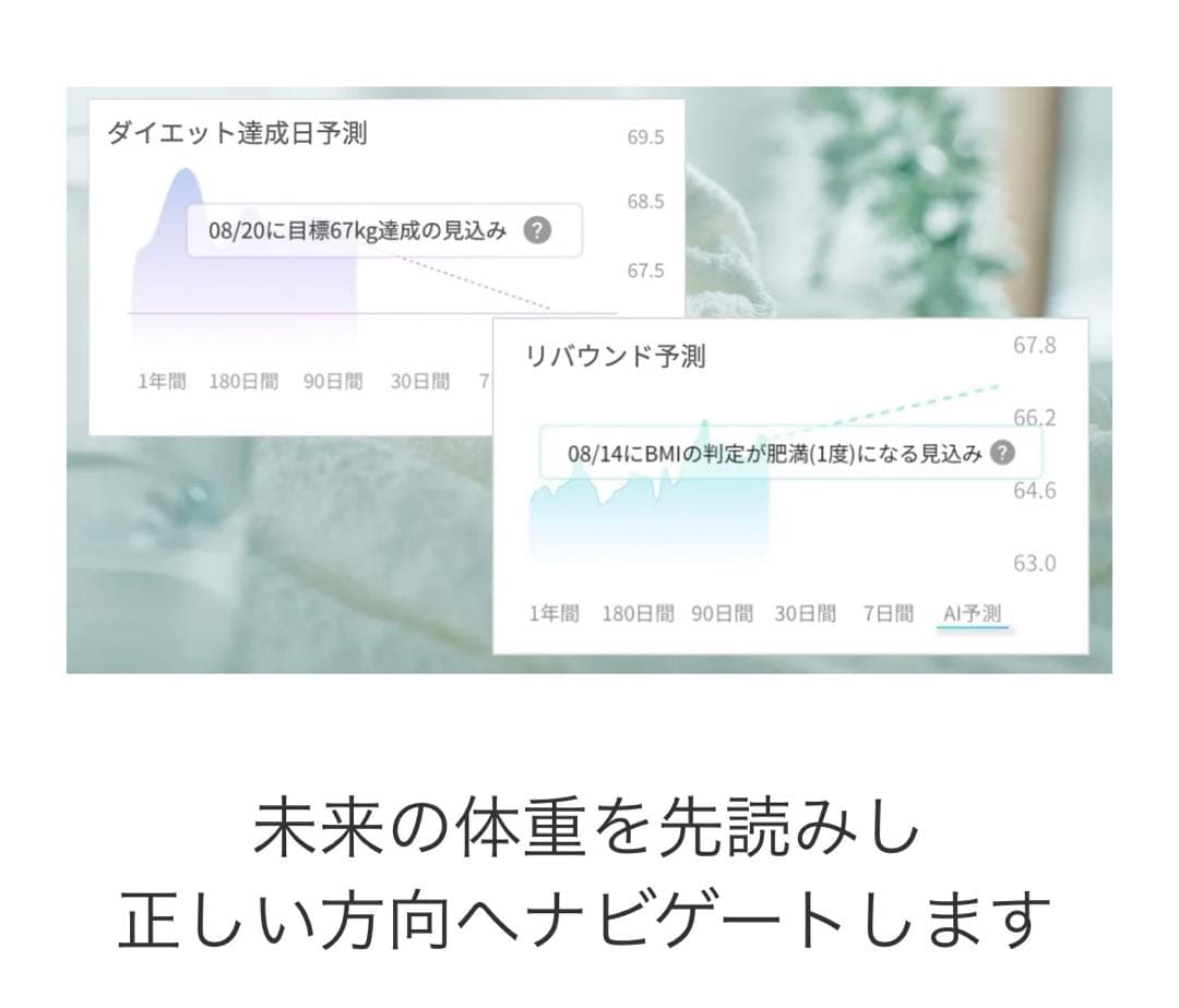 【新品未使用】issin スマートバスマット 体組成計モデル 最新 2024年製