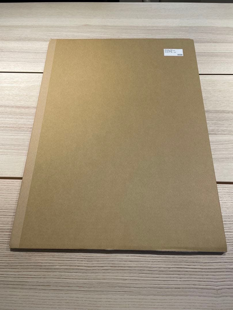 【ジンプラ額装】KYNEシルクNONCHELEEE 『Untitled