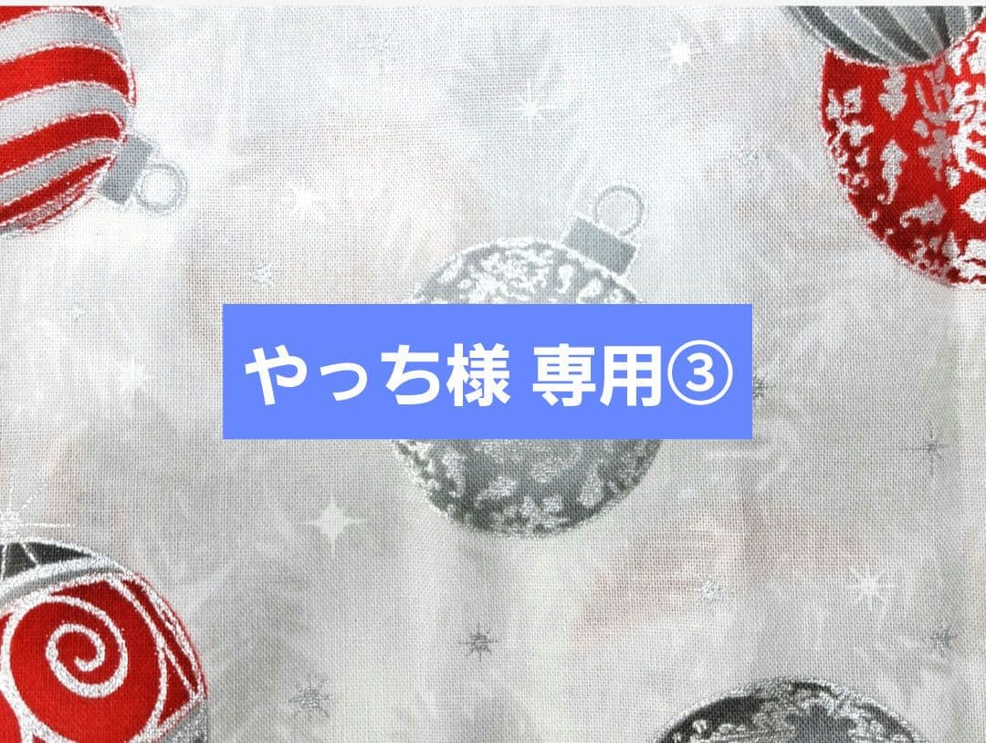 やっち③ポーチ