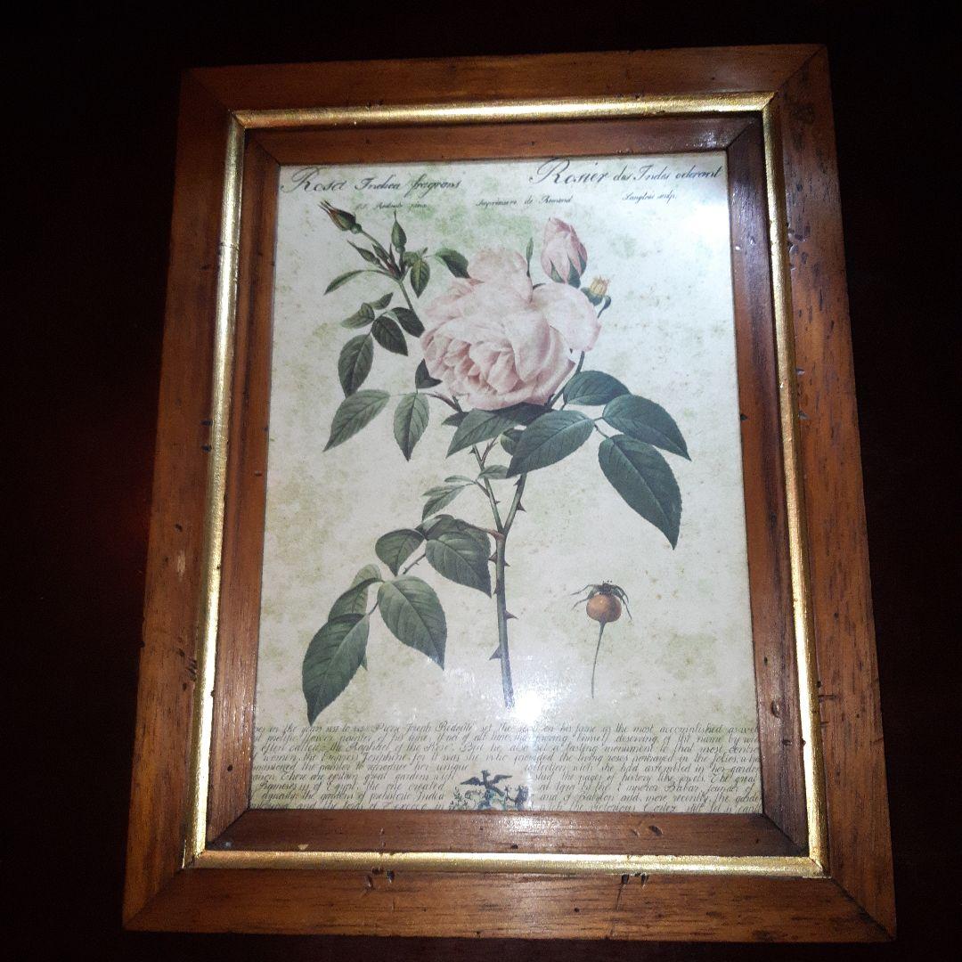 P.J.ルドゥーテ　薔薇　プリント　絵　額
