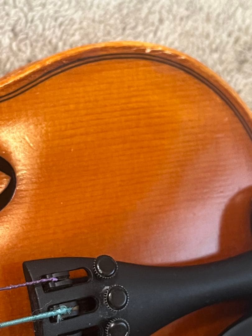 Andreas Eastman VL80 1/10サイズ　2018年製バイオリン