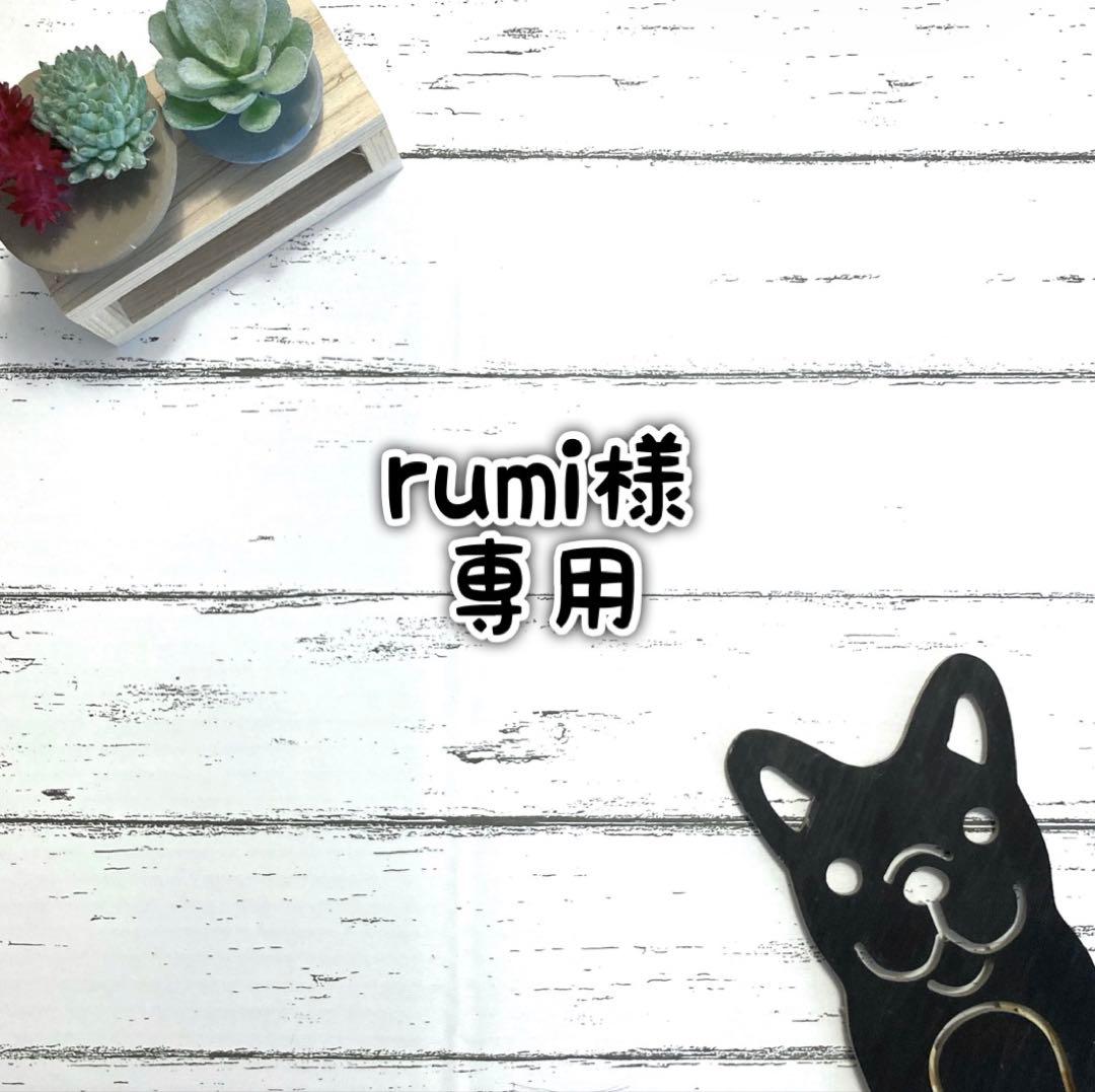 ■rumiページ■