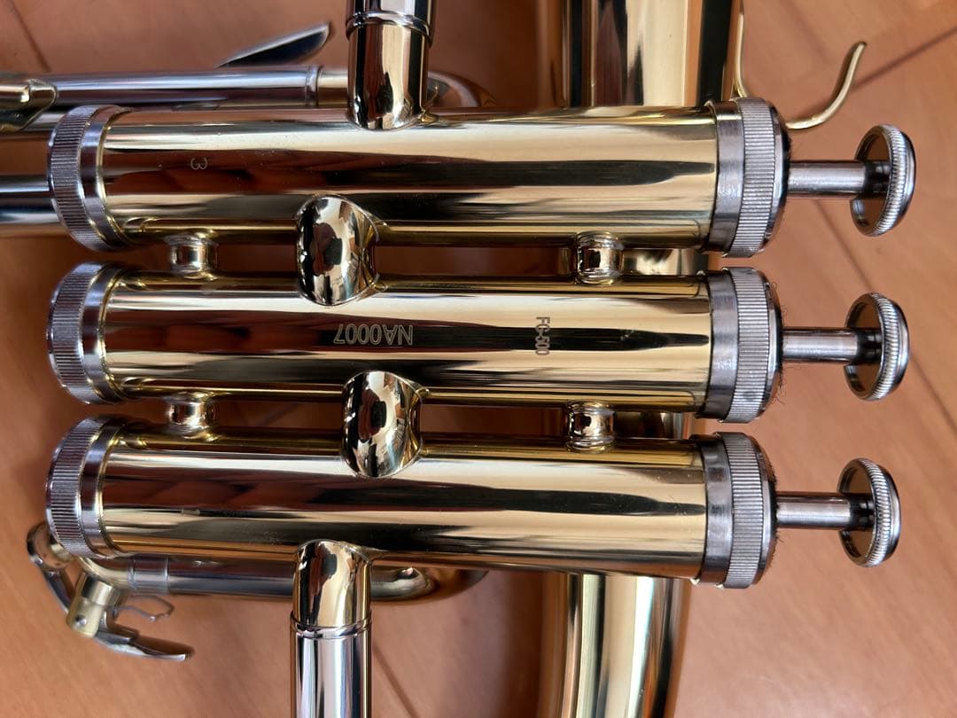 j.mickael FG-500 マウスピース ケース付属