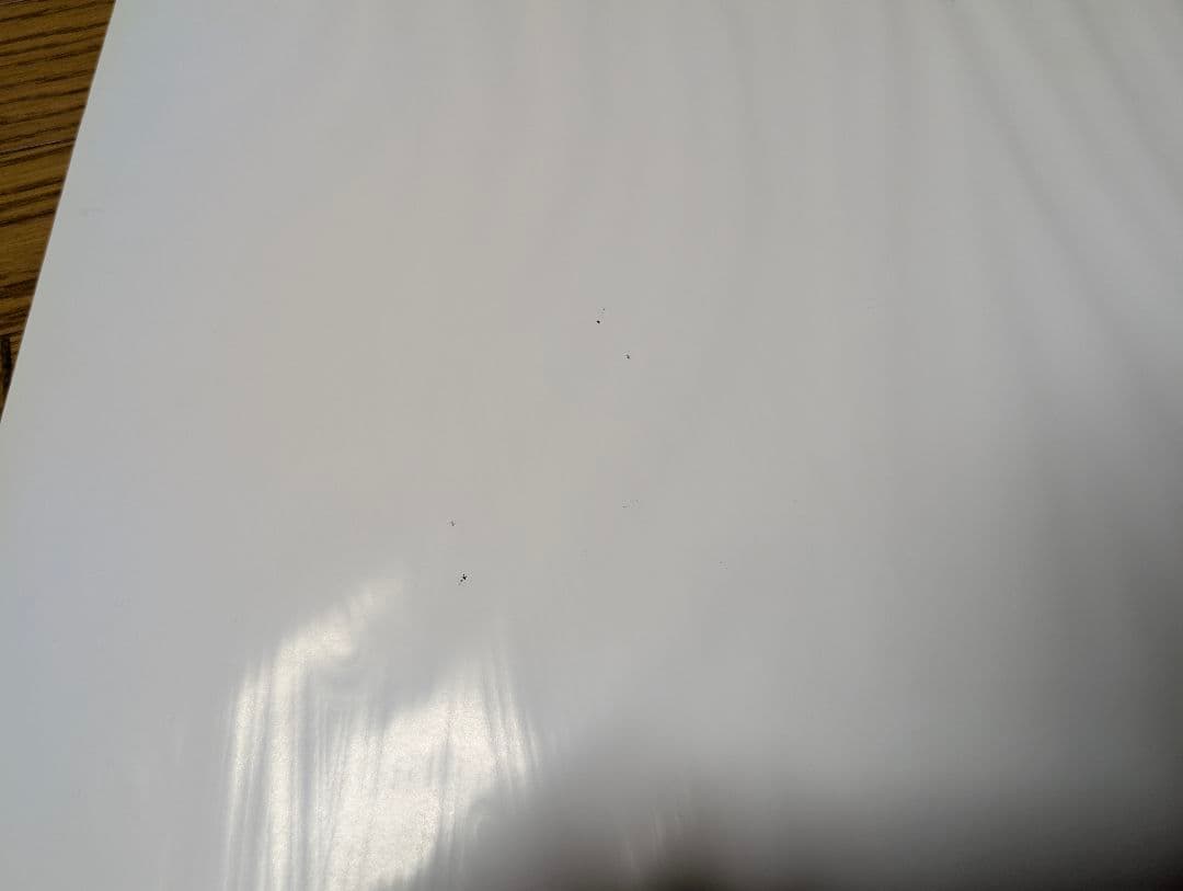 System of a down 直筆 サイン ポスター