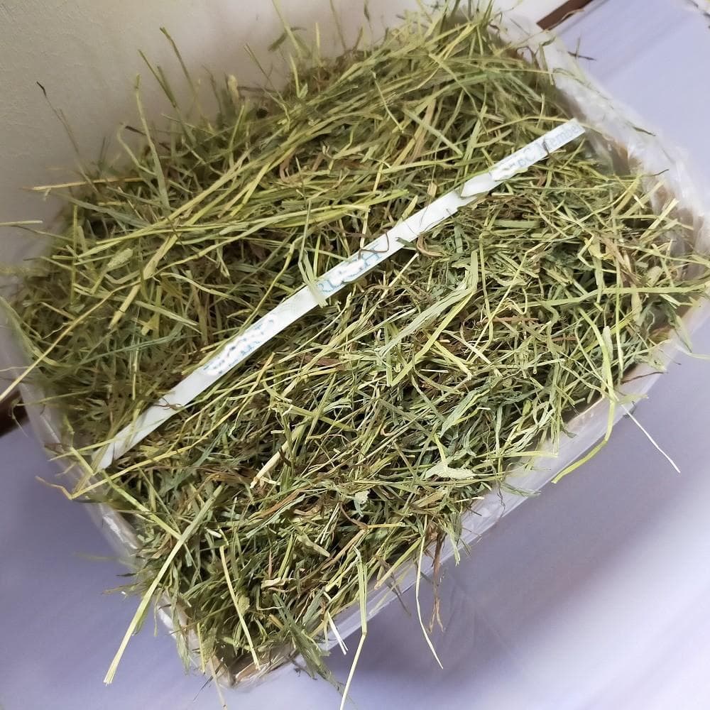 【業販価格】US産 チモシー 180kg ２番刈 ソフトSプレミアム