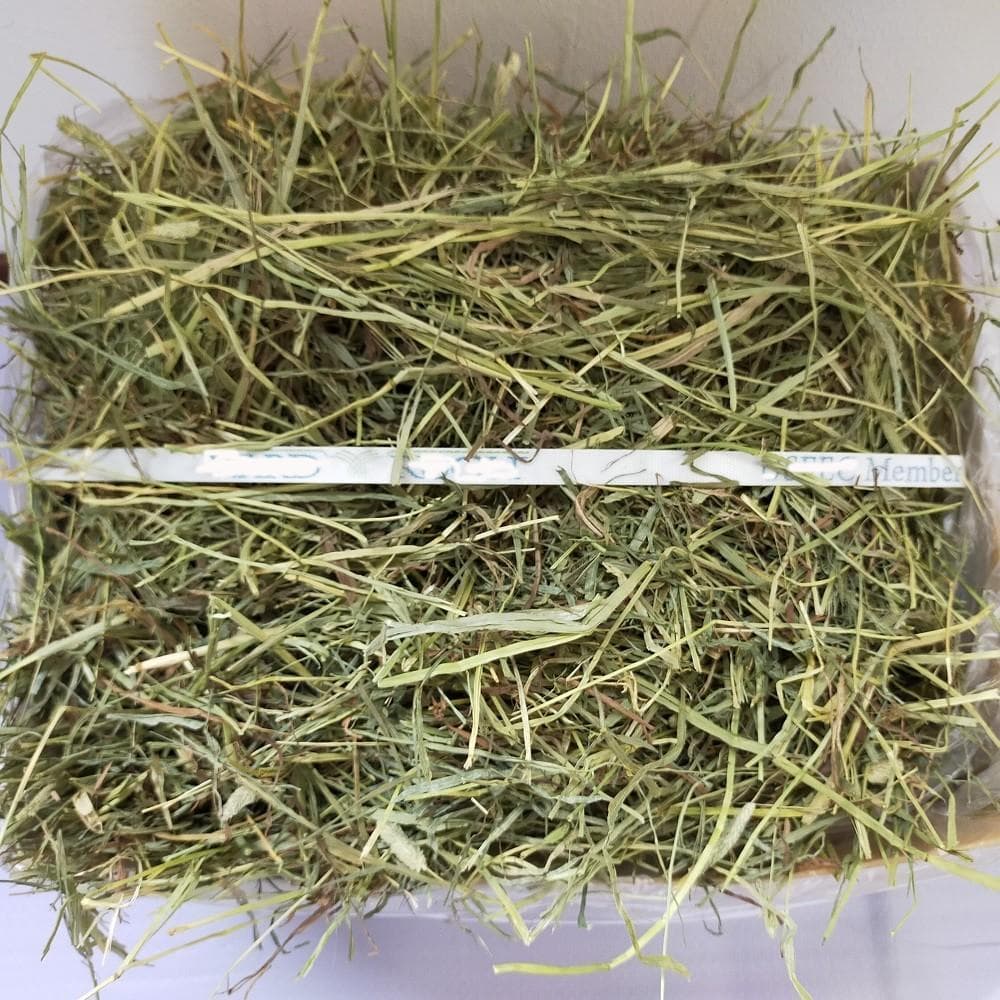 【業販価格】US産 チモシー 180kg ２番刈 ソフトSプレミアム