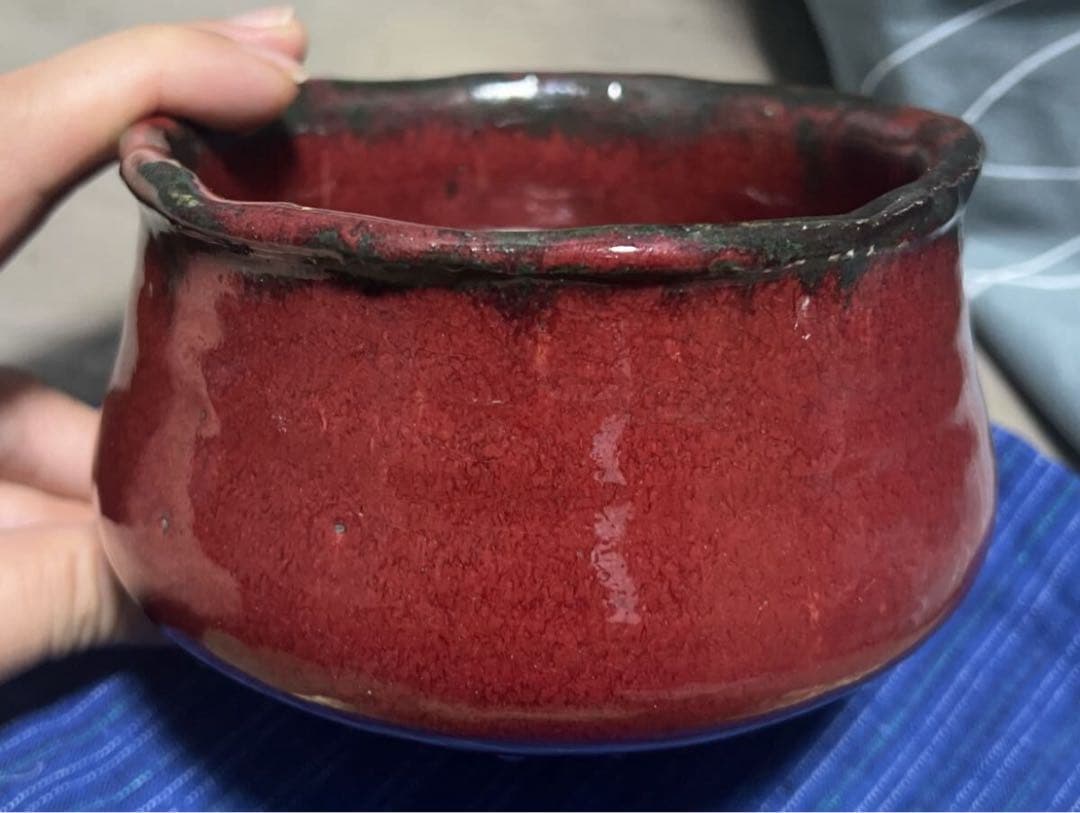 南龍院極 表千家吸江斎箱書 赤志野茶碗 徳川印 銘『千種』