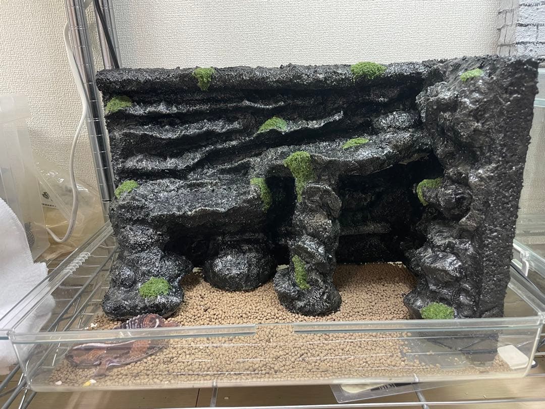 爬虫類レイアウト用品　グラスハーモニー　グラステラリウム　爬虫類ケージ
