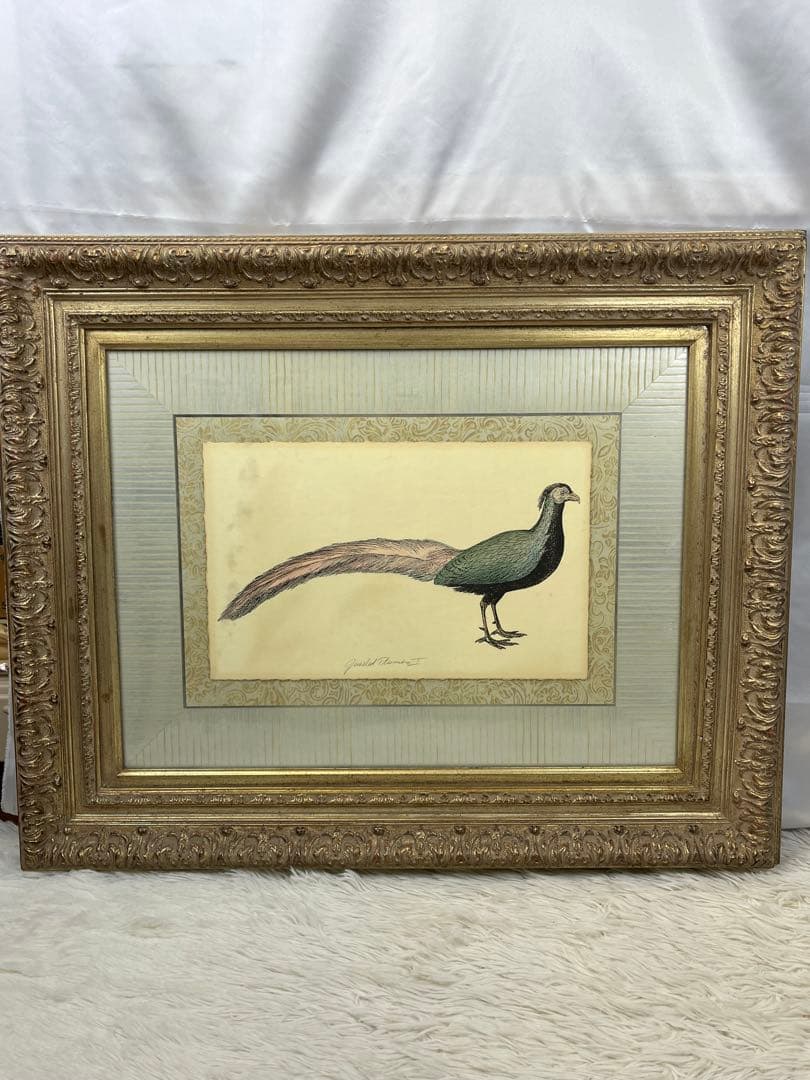 額入り水彩画壁掛け 孔雀 Geucled Plumes 1280