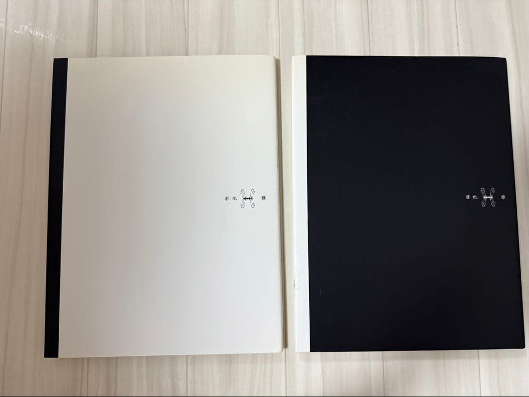 雅　miyavi MIYAVI 羽化　本　写真集　２冊セット　希少