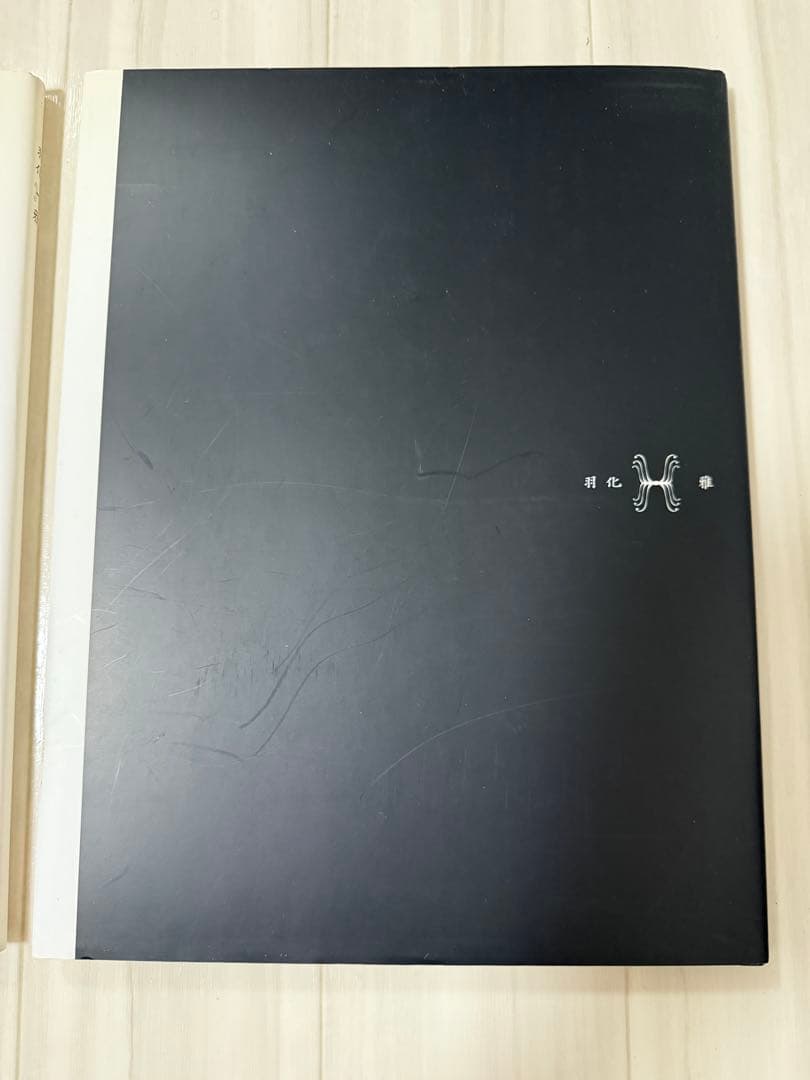 雅　miyavi MIYAVI 羽化　本　写真集　２冊セット　希少