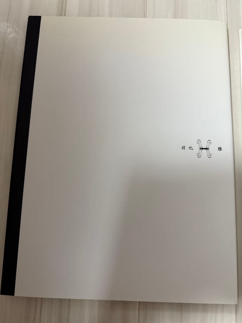 雅　miyavi MIYAVI 羽化　本　写真集　２冊セット　希少