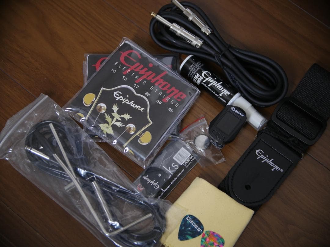 PRS SE Custom 24 セット ケース付