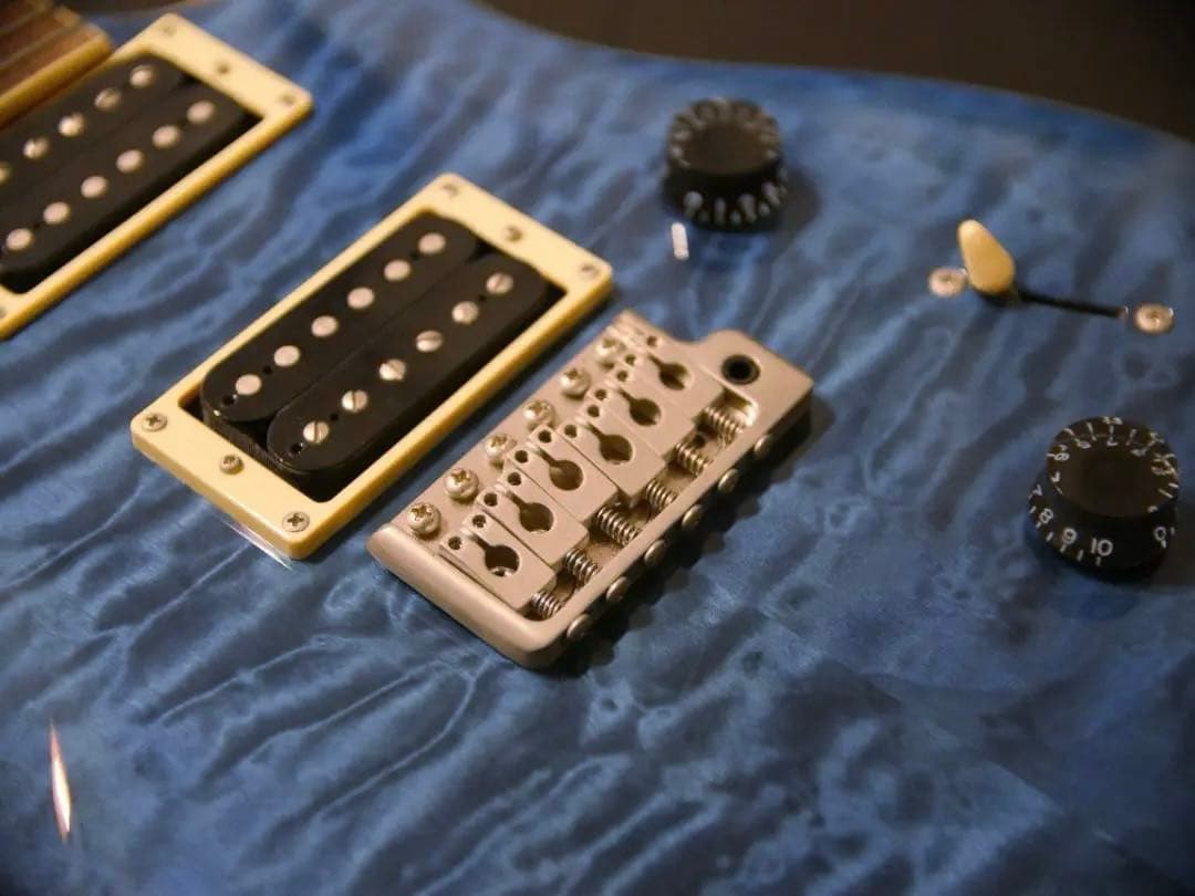 PRS SE Custom 24 セット ケース付