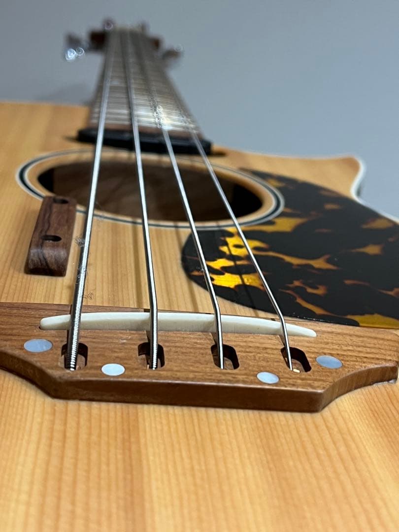 Grass Roots AC-BASS アコースティックベース