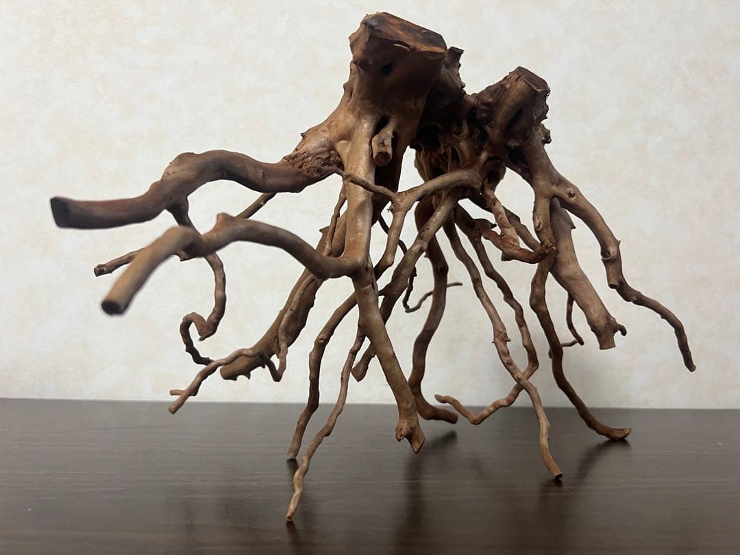 32625 ブランチウッド　流木　アクアリウム 沈水確認済