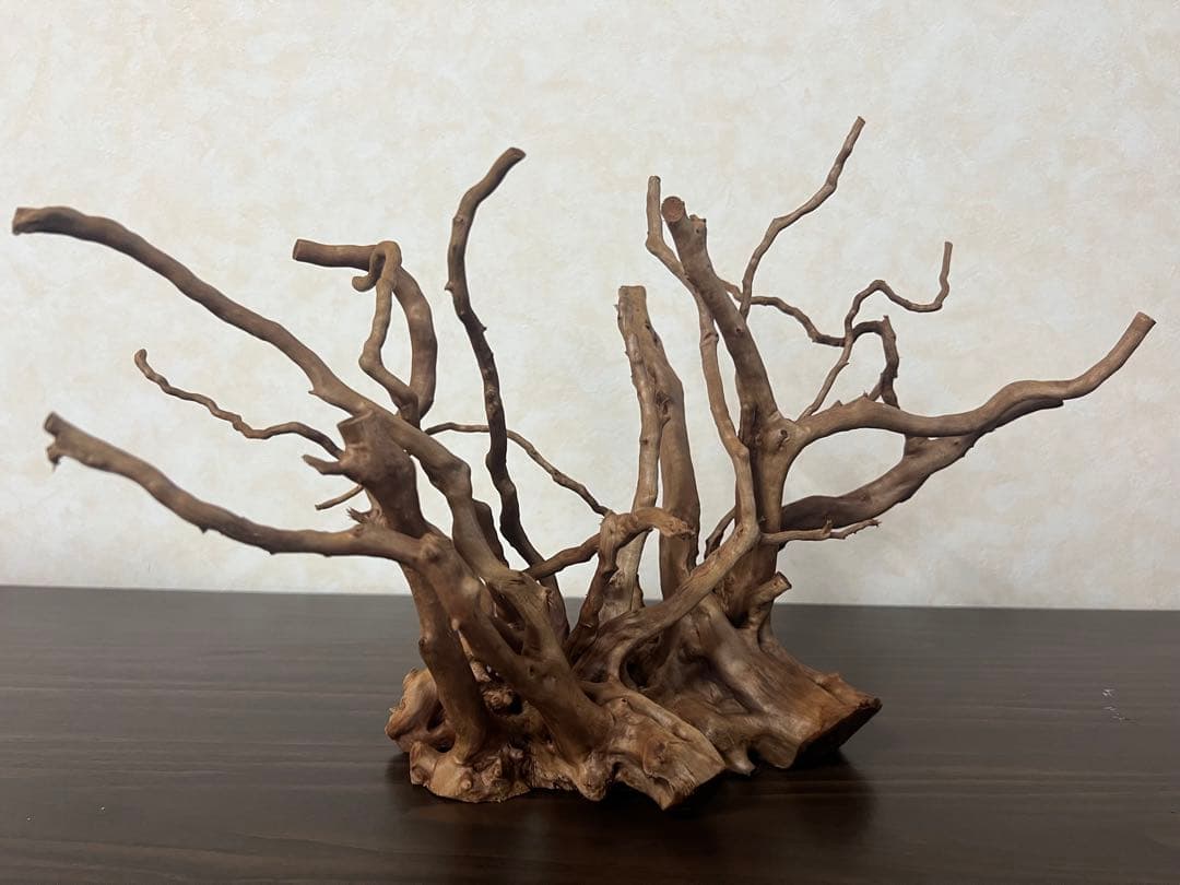 32625 ブランチウッド　流木　アクアリウム 沈水確認済