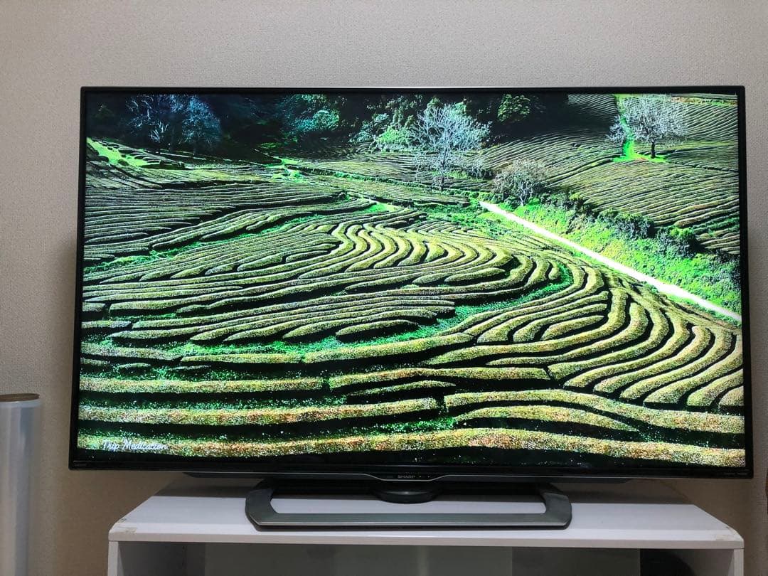 SHARP　AQUOS　55インチ4K 液晶テレビ