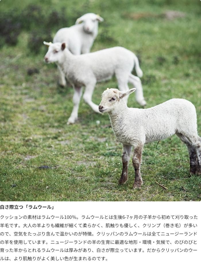 クリッパン　クッションカバー 2枚セット サンバ　ブラック