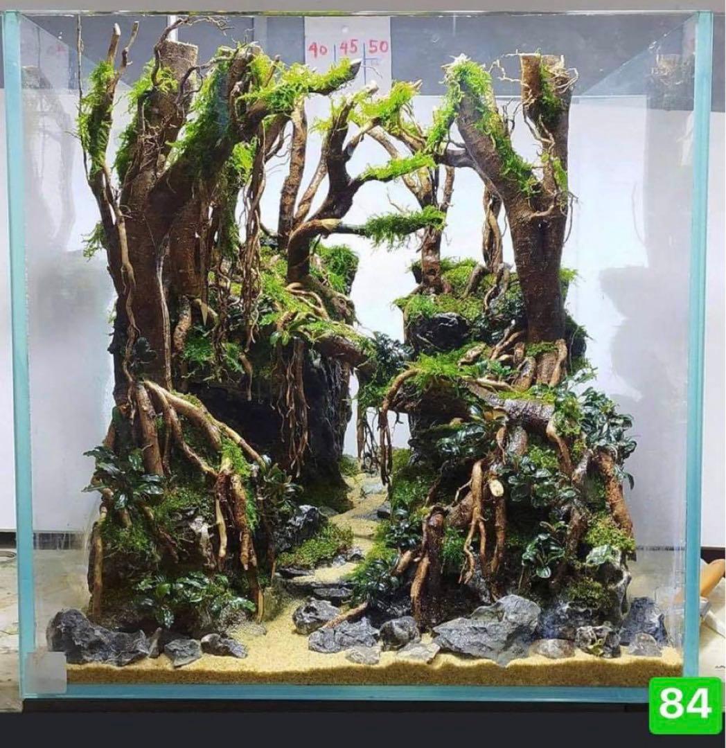 盆栽流木　　水草用の 流木。流木アクアリウム　パルダリウム　マシンガンウッド