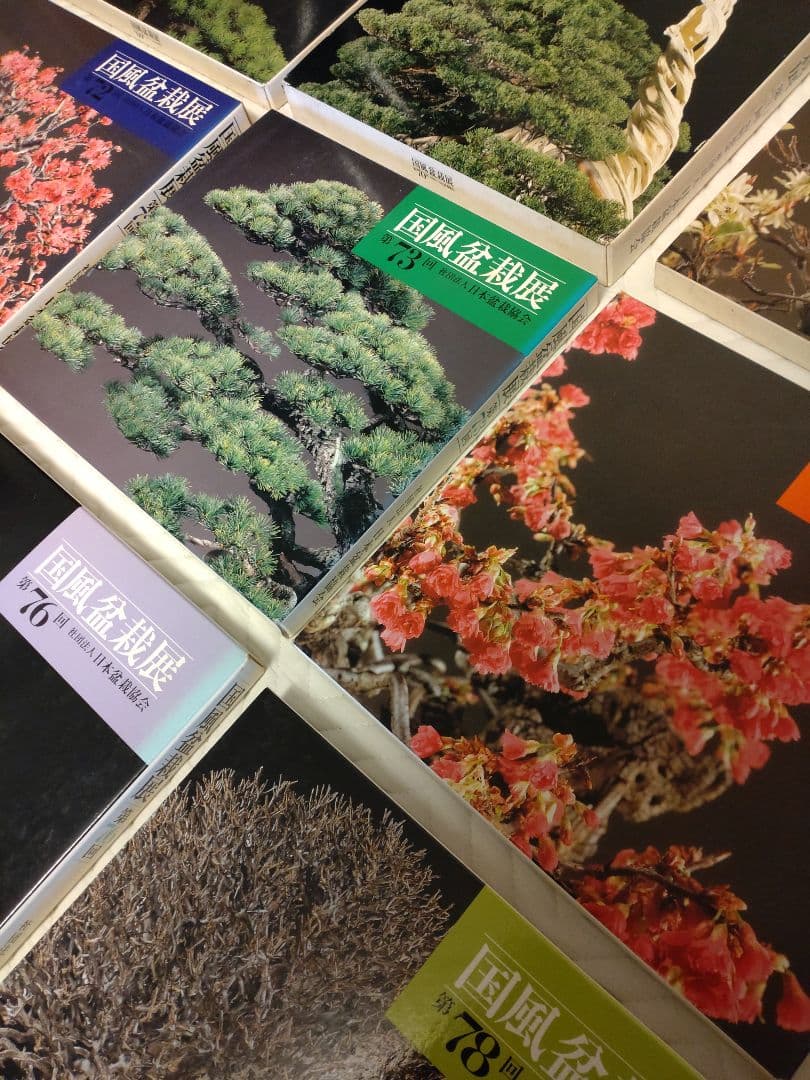 国風盆栽展 コレクション 13冊