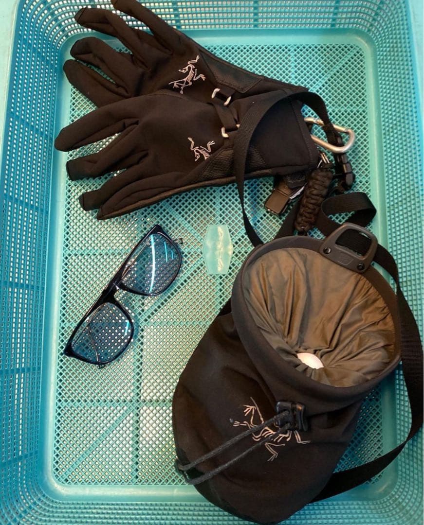 アークテリクス アルファ SL グローブ Sサイズ