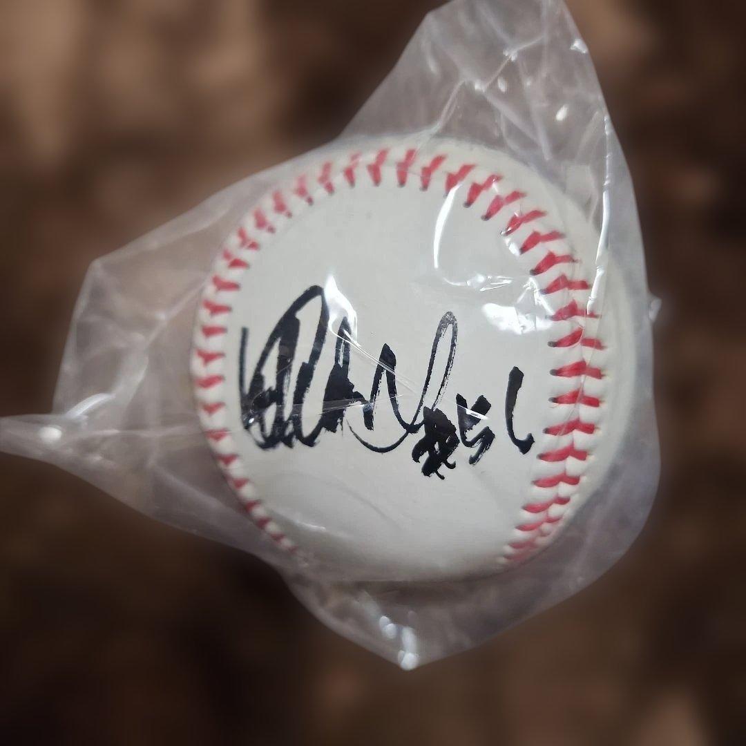 カイト様。イチロー杯争奪学童野球大会 サインボール(プリント) 9個セット