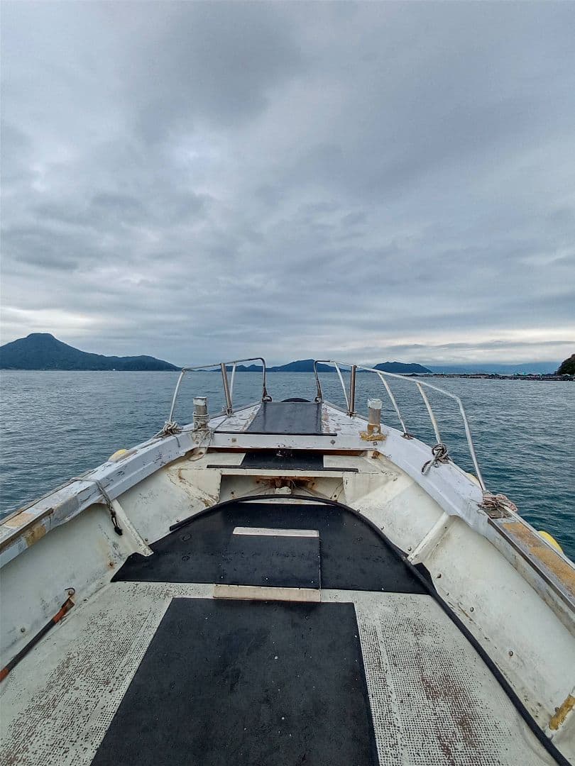 九州産　アンモナイト　プロテキサナイテス　超特大　希少　博物館展示級
