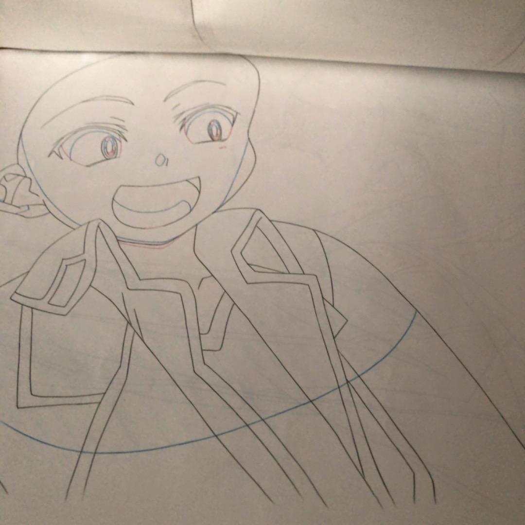 大判　生動画　生原画　タイムシート　セット　ハイスクールD×D　約44枚