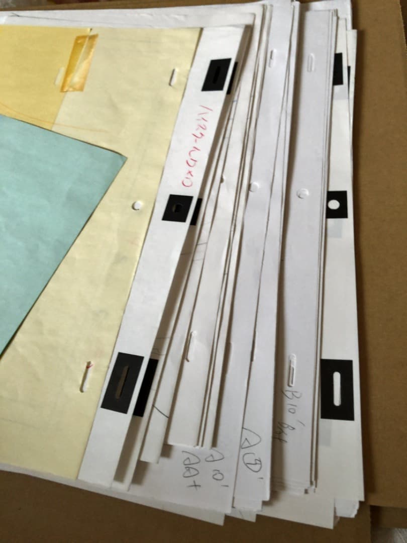 大判　生動画　生原画　タイムシート　セット　ハイスクールD×D　約44枚