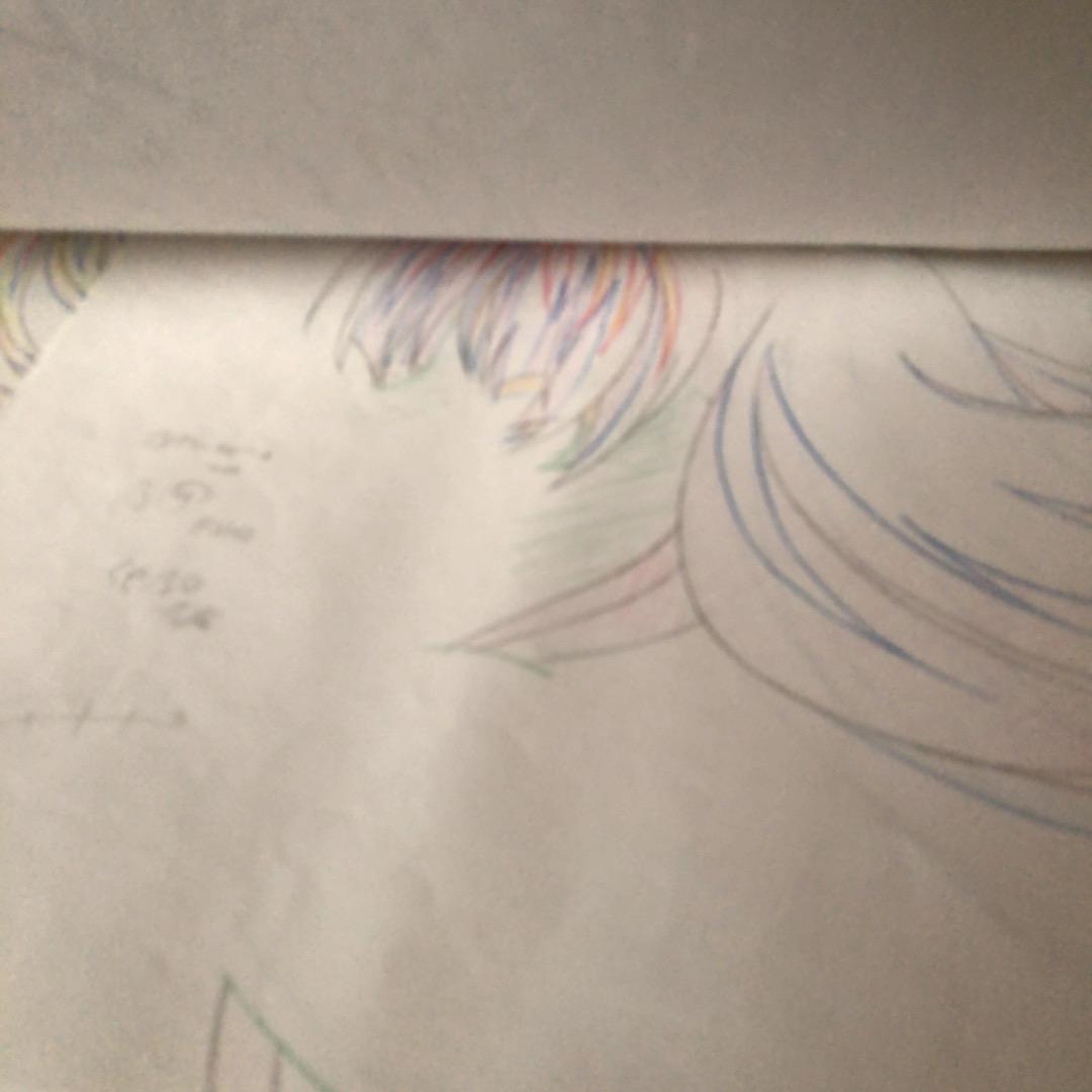 大判　生動画　生原画　タイムシート　セット　ハイスクールD×D　約44枚