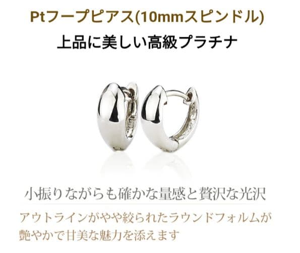 定価38500円*Pt900スピンドルピアス