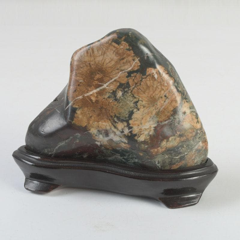 天然石　鑑賞石　菊花石　置物　重さ約792g　唐木台付　V　9424