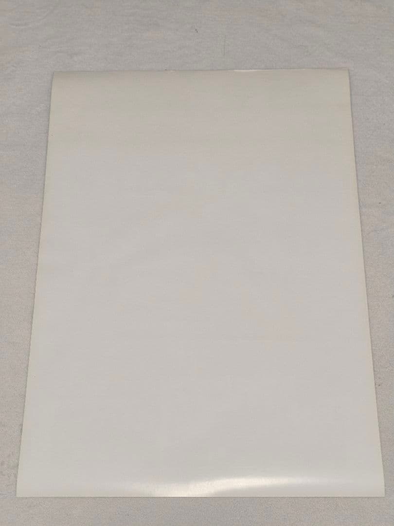 ファイナルファンタジー13 ライトニングリターンズ 販促用ポスター 額縁付き