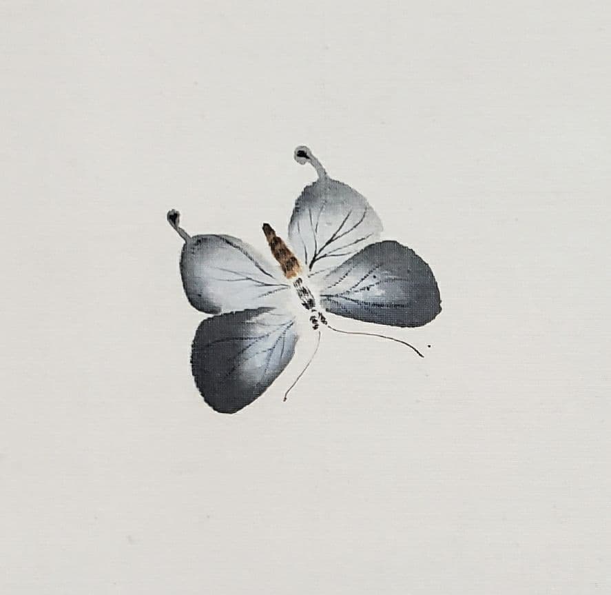 【蝶と狆図】清春 2560 チン 犬　掛け軸　肉筆