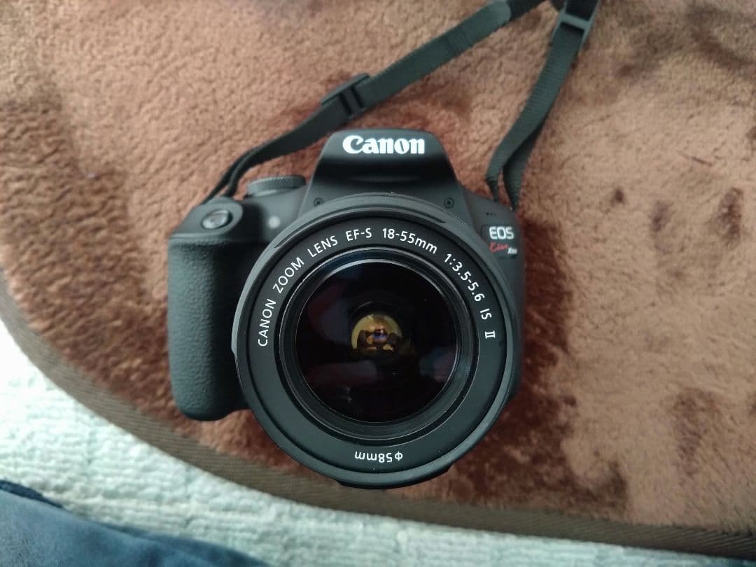 最終値下げ　Canon EOS Kiss X90 標準ズームキット