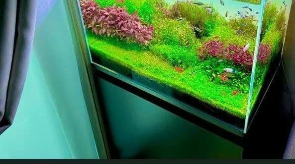 水槽フルセット 東京都内限定無料配送 翌日発送