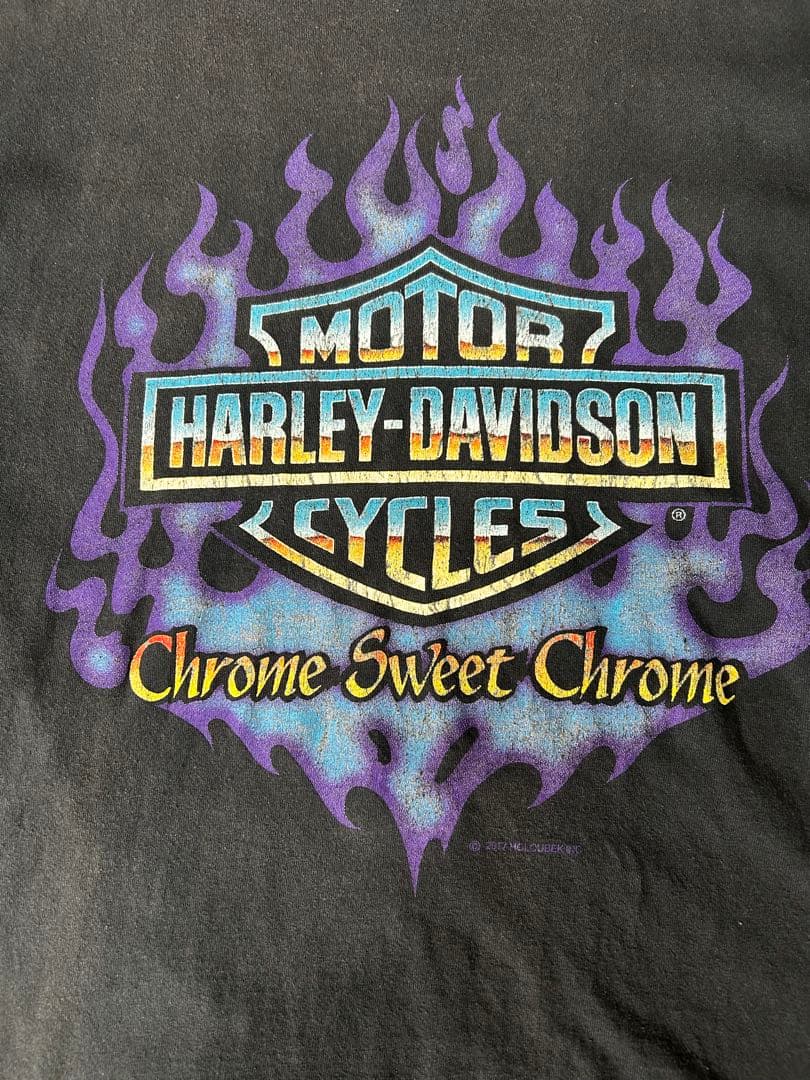 harley davidson パープル ファイヤー フレイム カニエウエストL