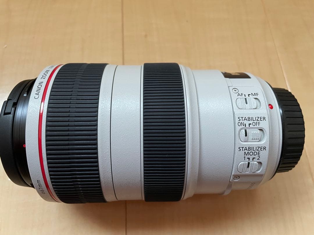 Canon EF 70-300mm f/4.5-5.6L ズームレンズ