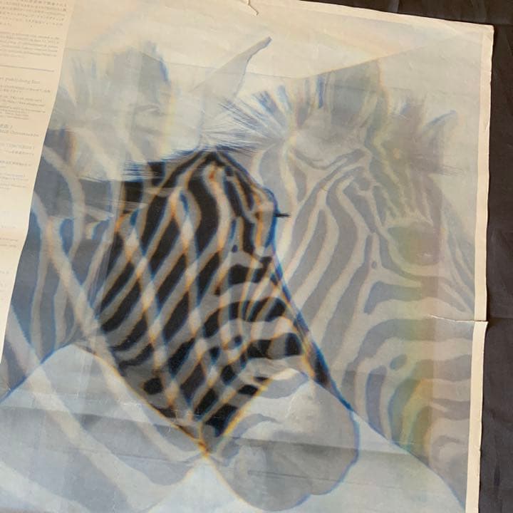 名和晃平　　シンセシス　ポスター