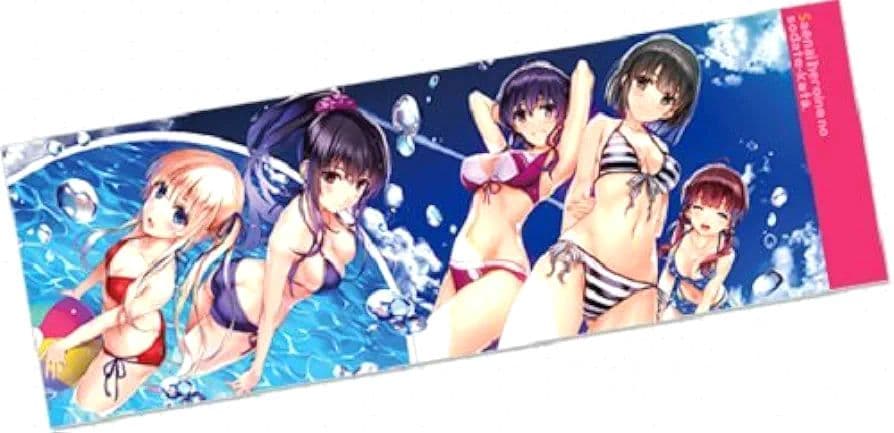 【新品未開封】『冴えない彼女の育てかた』全ヒロイン水着　マイクロファイバータオル