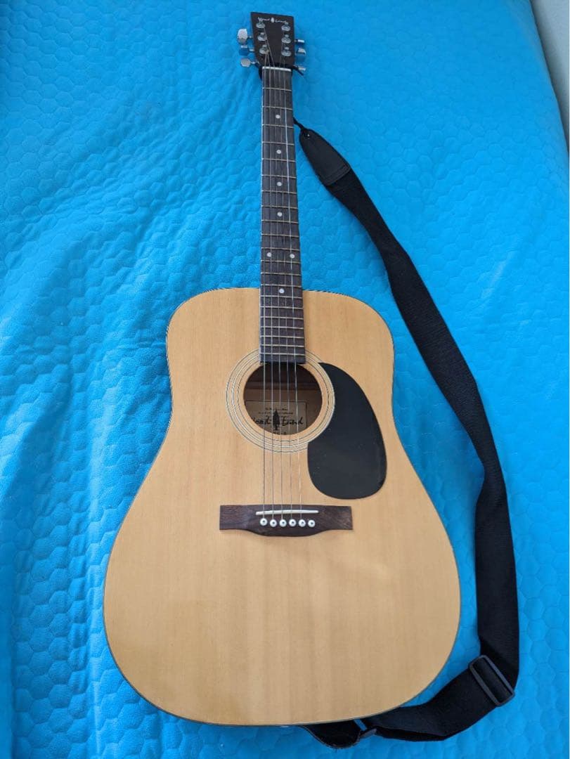 アコースティックギター WG-O