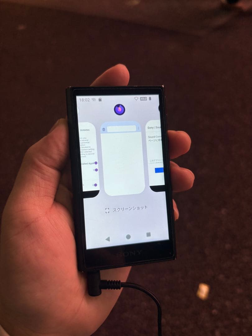 SONY Walkman NW-A306 （32GB）