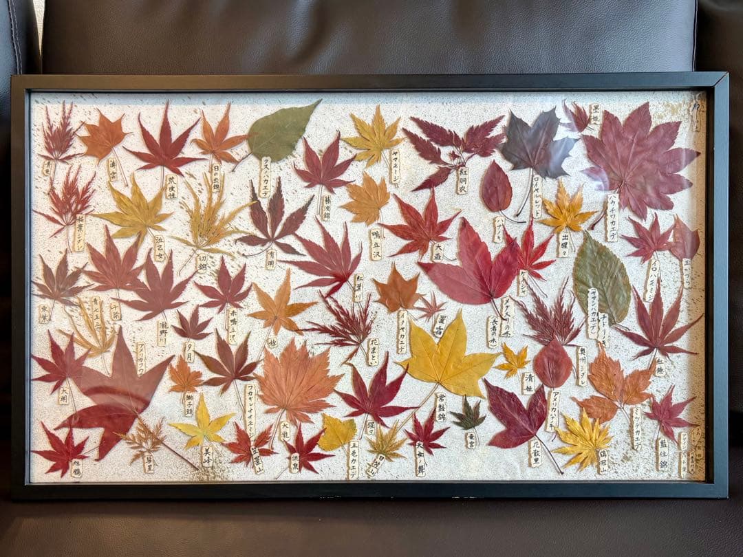 紅葉 額装 川原田邦彦 茂木愛子 2010年制作