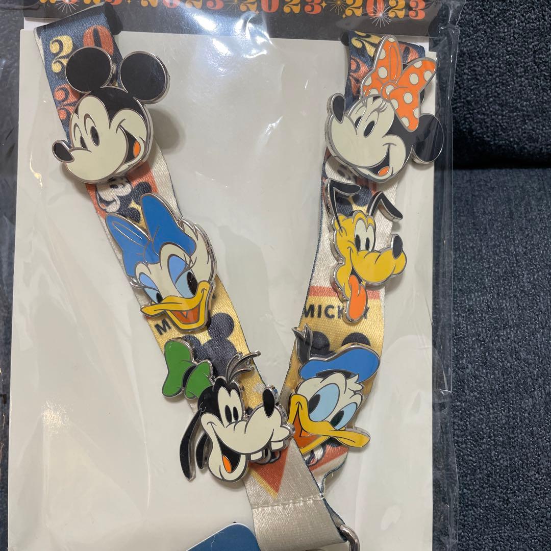 ピンバッジ　カード入れ　ストラップ　ディズニーランドパリ2023（12/17処分