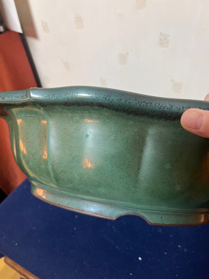 431 盆栽　盆栽鉢　植木鉢　和鉢　山秋