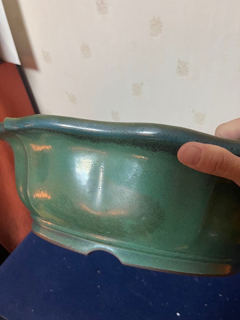 431 盆栽　盆栽鉢　植木鉢　和鉢　山秋