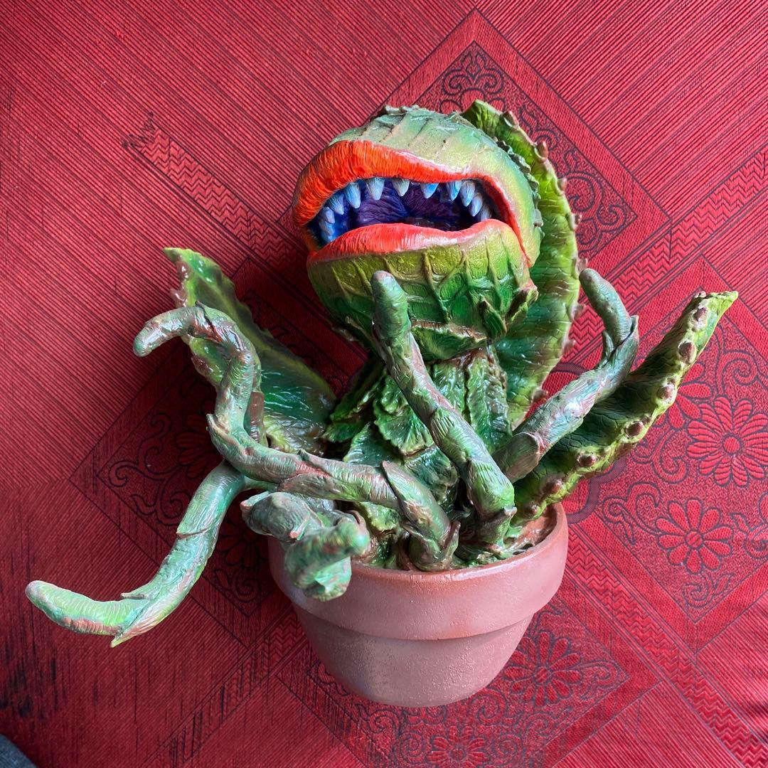 マーミット　オードリー