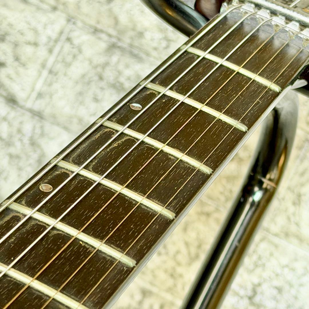 Edwards「E-FR-130GT」フォレストシェイプ